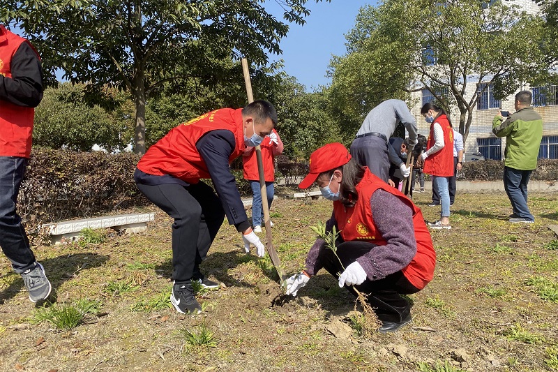 2.第二基层总支组织开展“倡导文明健康 共创绿色环保”主题植树活动，栽下棵棵树苗，留下一片新绿。.jpg